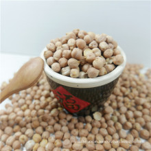 High Quality Dried Chickpeas